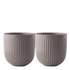 Eva Trio - Legio Nova Kuppi 34 cl 2kpl Truffle