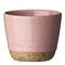 Aida - Raw Colour Muki 20 cl Roseish – kuva 1