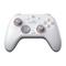 GameSir Nova 2 Lite, PC/Nintendo Switch -peliohjain – kuva 5