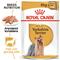 Royal Canin Yorkshirenterrieri Aikuisten märkäruoka 85 g x 12 kpl – kuva 1