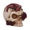 Nemesis: Rose Flame (14.5cm) KOTIIN – kuva 1