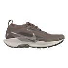 Nike Juoksukengät Pegasus Trail 5 Gore-Tex - Harmaa/College Grey/Ruskea