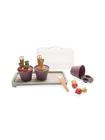 Dantoy Green Garden - Mini Greenhouse Set (4725)