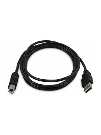 StarTech.com - USB cable - USB to USB Type B - TAA Compliant – kuva 2/2