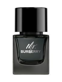 Burberry Mr. Burberry - EdT 50 ml