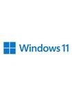 Microsoft Windows 11 Pro FPP 64-bit English International