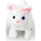 Happy Pets Pretty Little Kitty 3 asst.