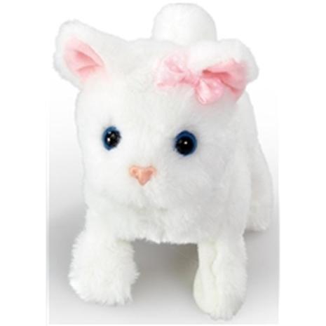 Happy Pets Pretty Little Kitty 3 asst.