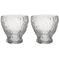 Kosta Boda Moss tumbler-lasi 33 cl 2-pack Kirkas – kuva 5