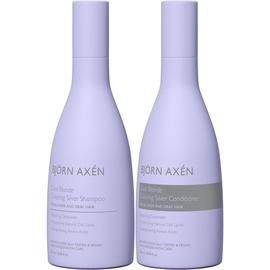 Björn Axén Cool Blonde Coloring Silver Standard