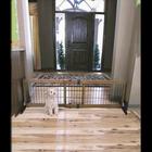 Carlson Pet Gate Freestanding Small Extra Wide, L 97-152 cm x K 51 cm - Puu & Musta