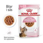 Royal Canin Feline Wet Kitten Sterilised Gravy 85 g x 12 kpl - annospussit