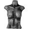 Female Torso 1 – kuva 1