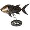 Jack Fish 1 – kuva 1