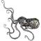 Octopus 1 – kuva 1