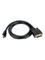 StarTech.com adapter cable - TAA Compliant – kuva 1