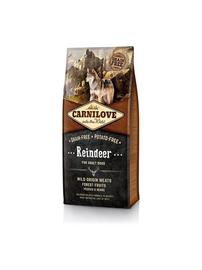 CARNILOVE REINDEER FOR ADULT 12 KG