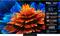 TCL 55MQLED80K (55"), LED-televisio – kuva 4