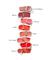 RMS Beauty Lip2Cheek - Beloved – kuva 6