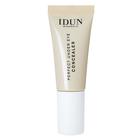 IDUN Minerals Perfect Under Eye Concealer Medium