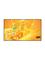 thumb93106054