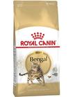 Royal Canin Bengal - 2 kg, kissanruoka