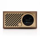 Tivoli Audio Model One Digital, radio