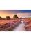 Ravensburger Pink Pathway (1000) – kuva 1