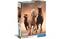 Clementoni Running Horses (1000) – kuva 2