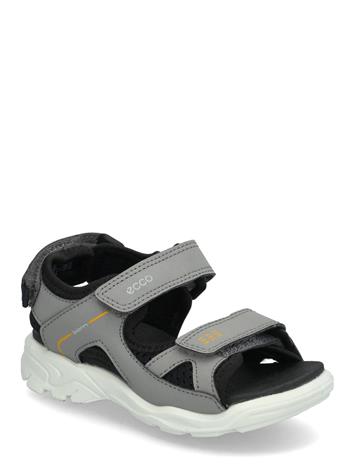 Ecco Biom Raft Sandaalit, Steel/Black, 29