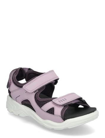 Ecco Biom Raft Sandaalit, Steel/Black, 29