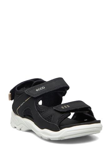 Ecco Biom Raft Sandaalit, Steel/Black, 29