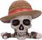 TBN One Piece Luffy Jolly Roger Box – kuva 1