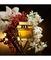 Dolce & Gabbana The One Eau de Parfum Intense 75 ml – kuva 1