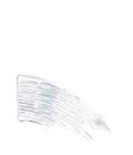 wet n wild Mega Clear Brow & Lash Mascara Ripsiväri 9 ml Clear