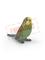 Schleich Budgie – kuva 1