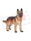 Schleich German Shepherd female – kuva 1