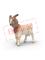 Schleich Boer Goat – kuva 1