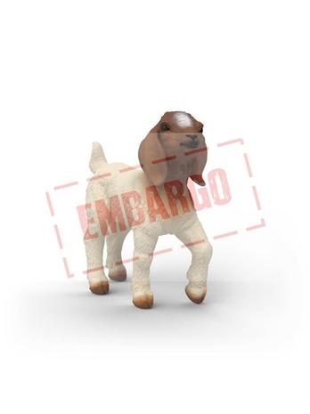 Schleich Boer Goat kid – kuva 1/8