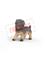 Schleich German Shepherd puppy – kuva 1