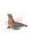 Schleich Sea Lion – kuva 1