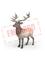 Schleich Elk – kuva 1