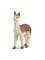 Schleich Alpaca – kuva 1