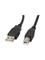 Lanberg - USB cable - USB to USB Type B - 50 cm – kuva 1