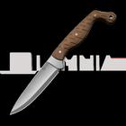 CIVIVI MDRN Hunter veitsi, Brown G-10, Satin