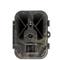 EVOLVEO StrongVision PRO A, riistakamera – kuva 1