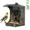 EVOLVEO StrongVision BirdFeeder, riistakamera – kuva 1