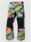 Burton Skylar Kids Pants oversized tropical Jätkät