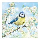 Ambiente - Servetti 33x33 cm 20 kpl Blossom Time