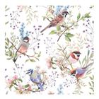 Ambiente - Servetti 33x33 cm 20 kpl Busy Birds